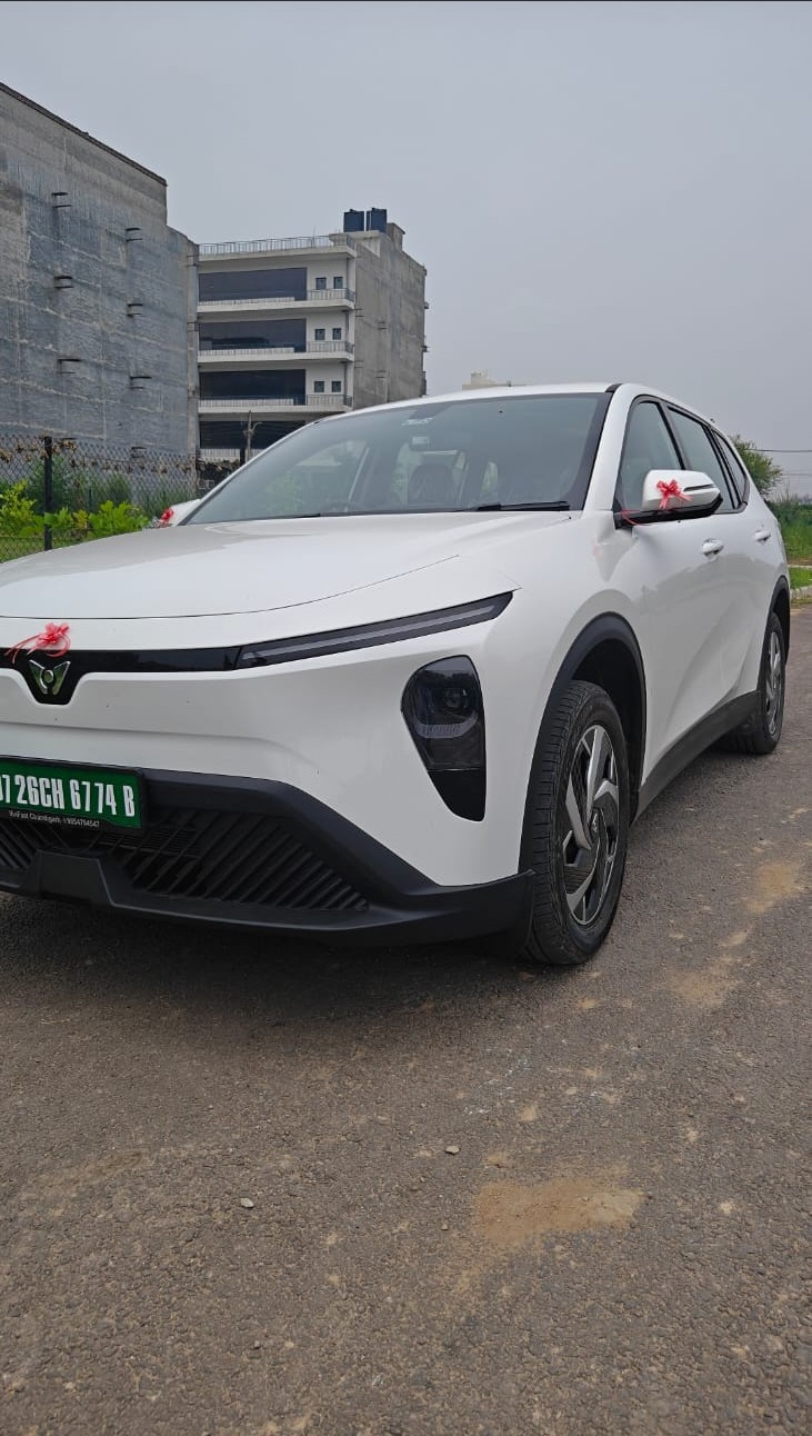 VINFAST LIMO (ELECTRIC)