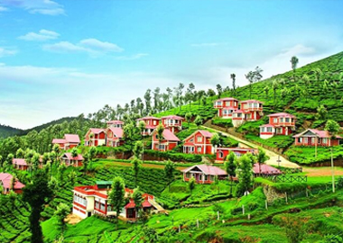 ooty tour package