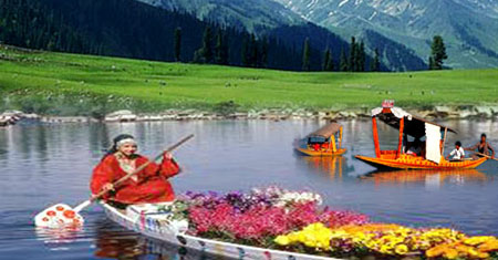 Professional Rental Services